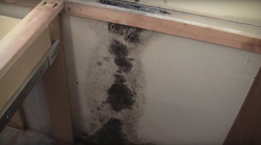 Orlando Mold Remediation