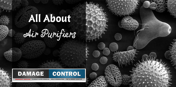 Air Purifiers For The Home