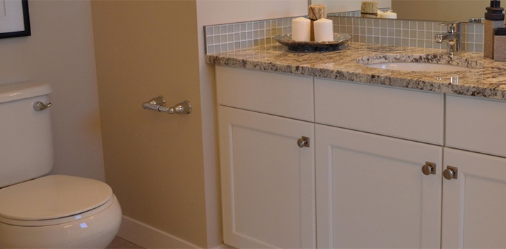 Remove Black Mold From Your Bathroom