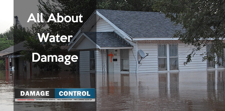 Everything You Need To Know About Water Damage