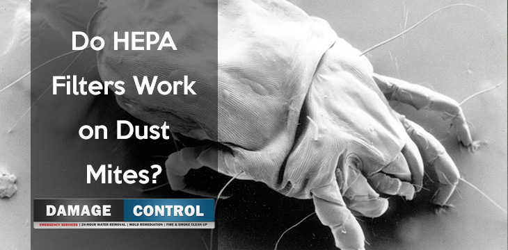 Dust Mites Removed By Hepa Filter