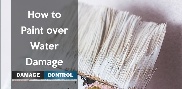 Painting Over Water Damage In The Home