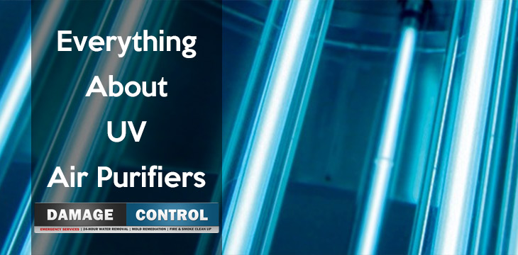 Everything About Uv Air Purifiers