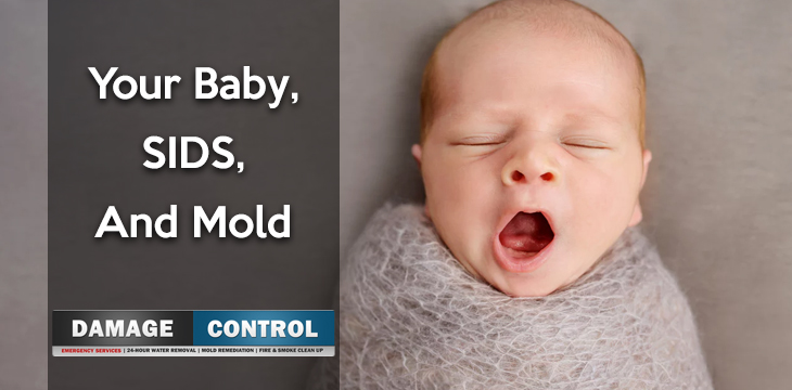 Baby Mold Sids