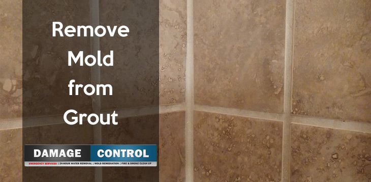 How To Remove Mold From Tile Grout Damage Control 911 How To Remove Mold From Grout