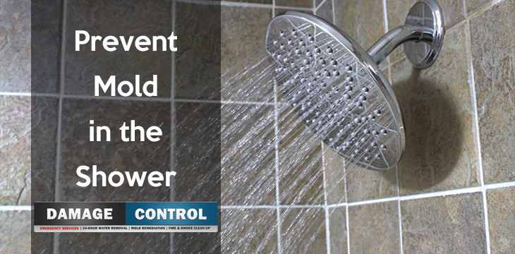 How to Remove Mold From Shower and Bathtub -- Damage Control 911 - How To Get Rid Of Mold In The Shower