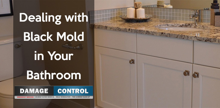 Remove Black Mold From Your Bathroom Damage Control 911 Deal With Black Mold In Your Bathroom