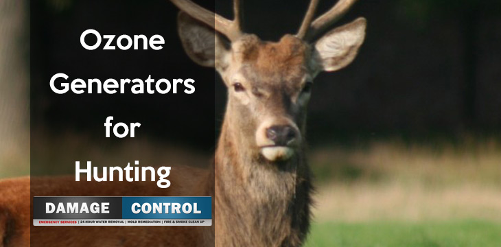 Ozone Generators Remove Hunting Scents