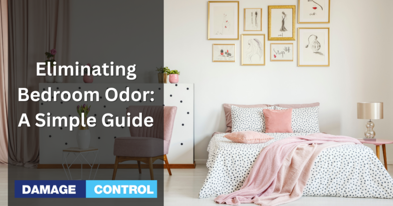 Eliminating Bedroom Odor A Simple Guide