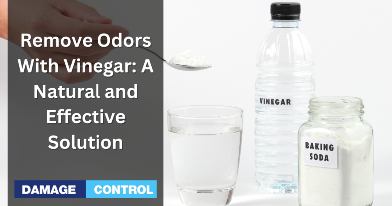Remove Odors With Vinegar A Natural and Effective Solution