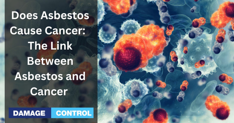 How Does Asbestos Cause Cancer Understanding the Link Between Asbestos Exposure and Cancer Development