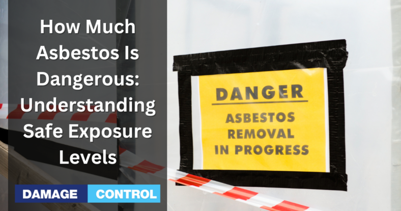 How Much Asbestos Is Dangerous Understanding Safe Exposure Levels