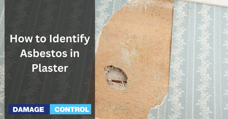 How to Identify Asbestos in Plaster