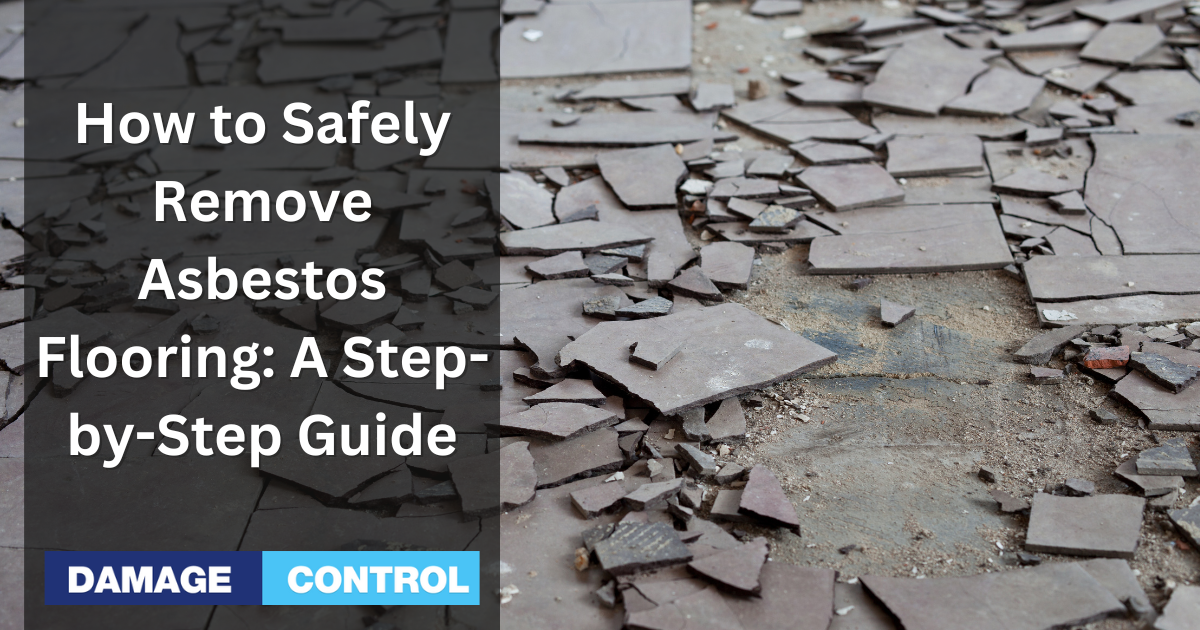 How to Safely Remove Asbestos Flooring A Step-by-Step Guide