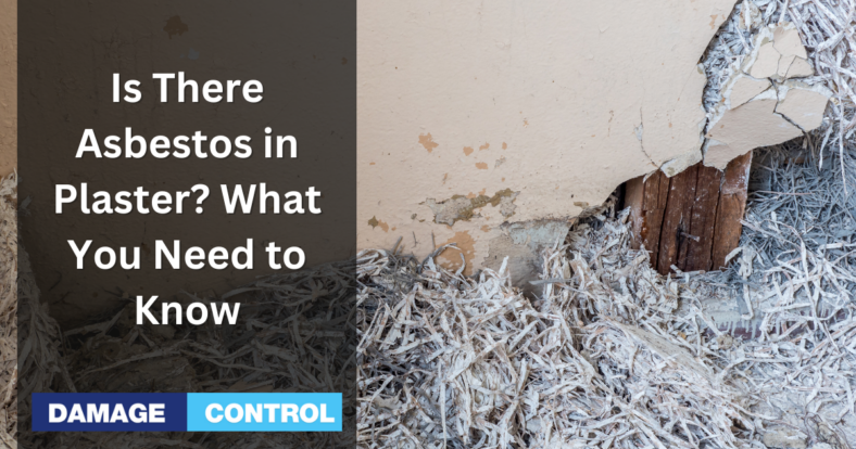 Is There Asbestos in Plaster What You Need to Know