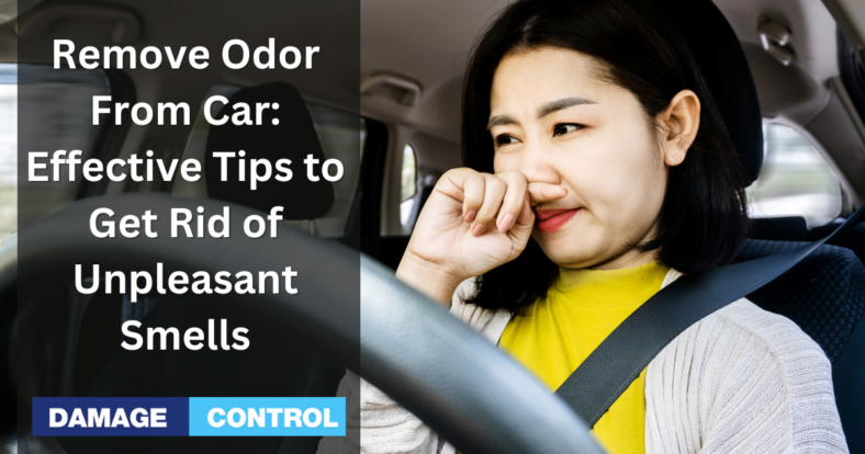 Remove Odor From Car Effective Tips and Tricks to Get Rid of Unpleasant Smells