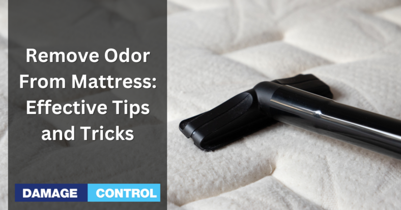 Remove Odor From Mattress Effective Tips and Tricks