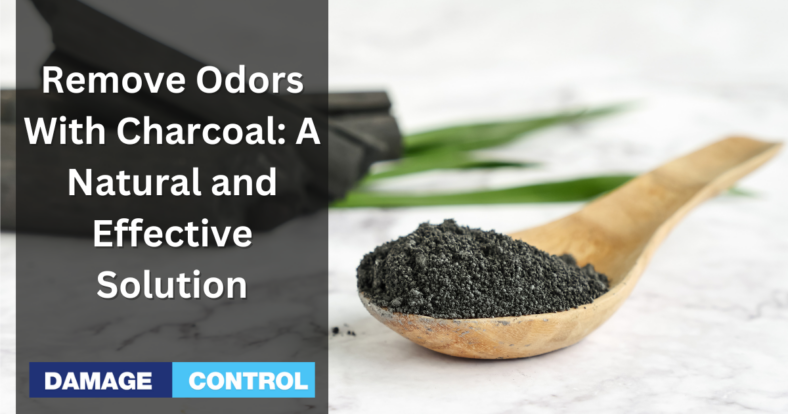 Remove Odors With Charcoal A Natural and Effective Solution
