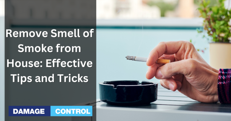 Remove Smell of Smoke from House Effective Tips and Tricks