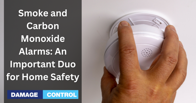 Smoke and Carbon Monoxide Alarms An Important Duo for Home Safety