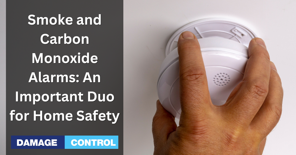 Smoke and Carbon Monoxide Alarms An Important Duo for Home Safety