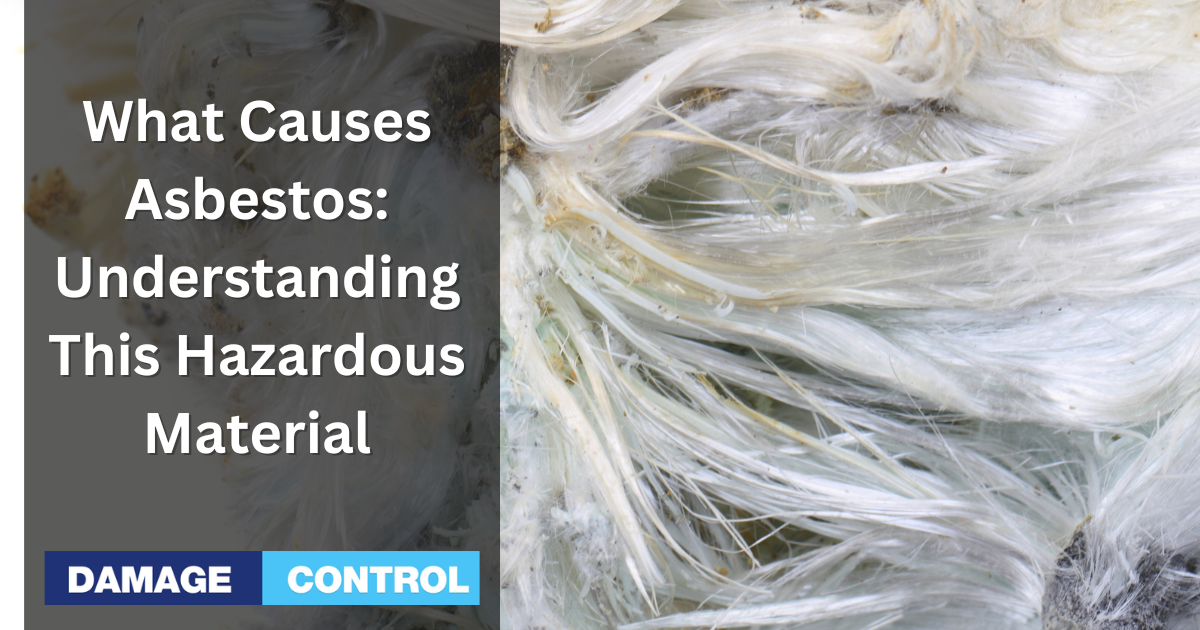 What Causes Asbestos Understanding the Origins and Risks of this Hazardous Material