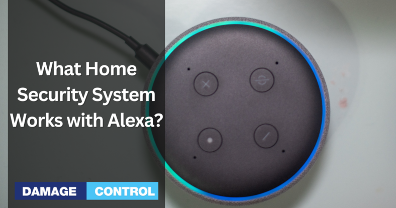 What Home Security System Works with Alexa