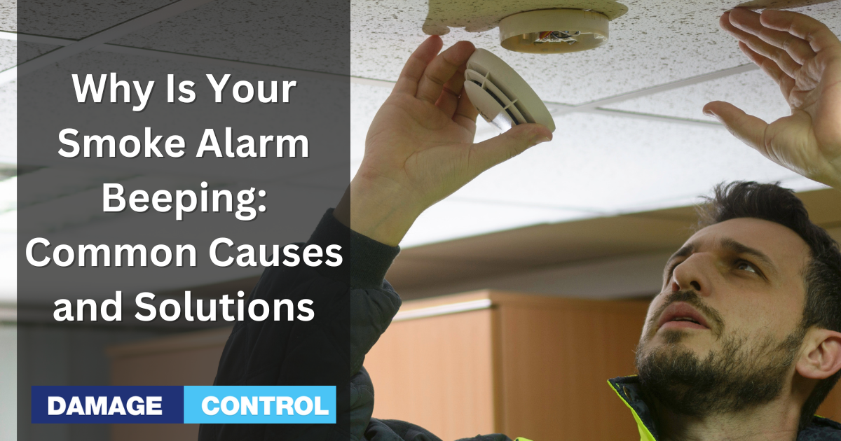 Why Is Your Smoke Alarm Beeping Common Causes and Solutions