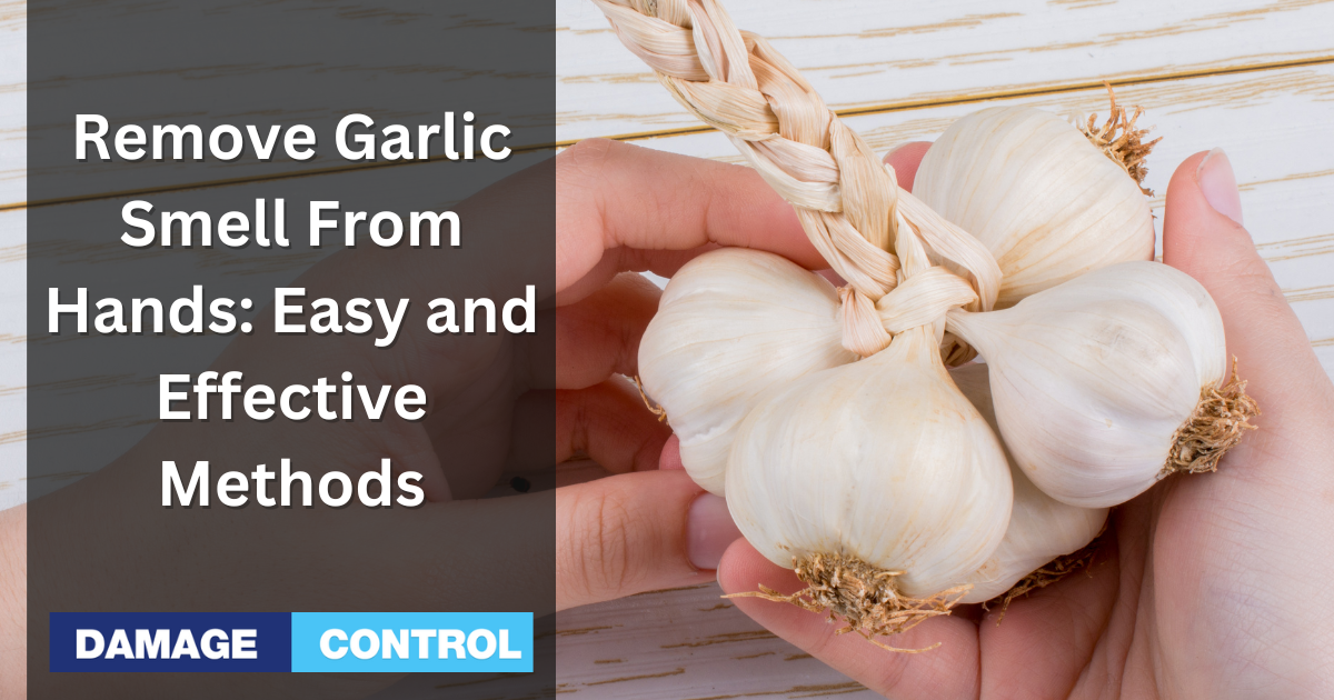 How To Remove Garlic Smell From Hands Easy Tips & Tricks