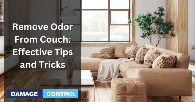 Remove Odor From Couch Effective Tips and Tricks