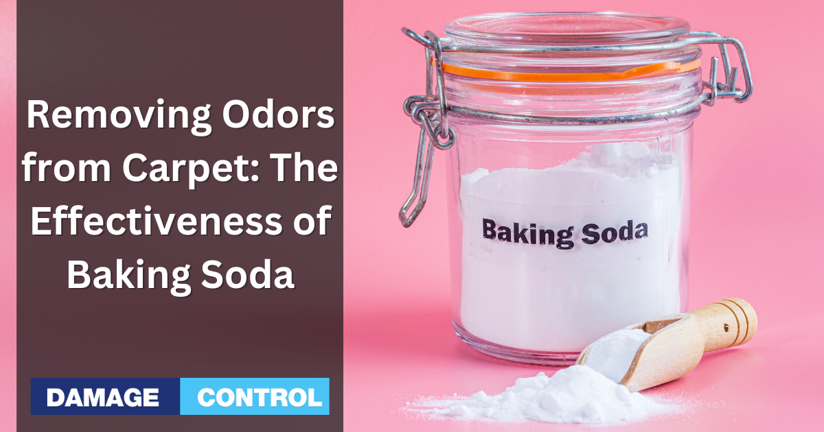 How To Remove Odors from Carpet Using Baking Soda