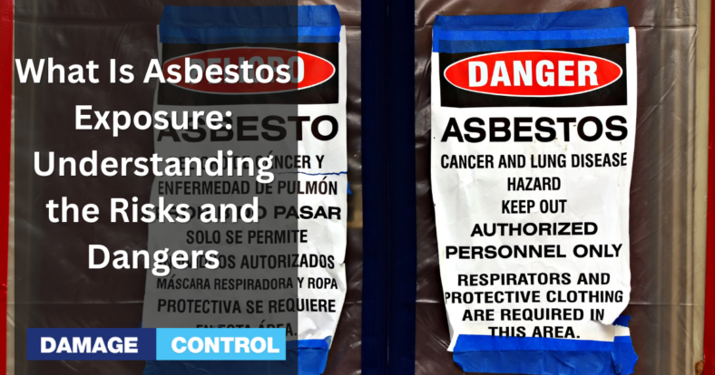 What Is Asbestos Exposure Understanding the Risks and Dangers