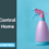 DIY Pest Control For Your Home