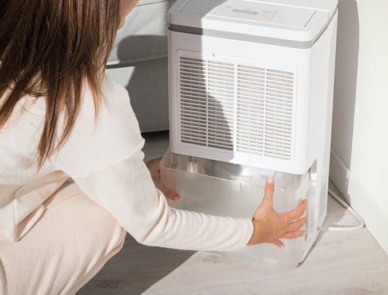What Should I Set My Dehumidifier At?