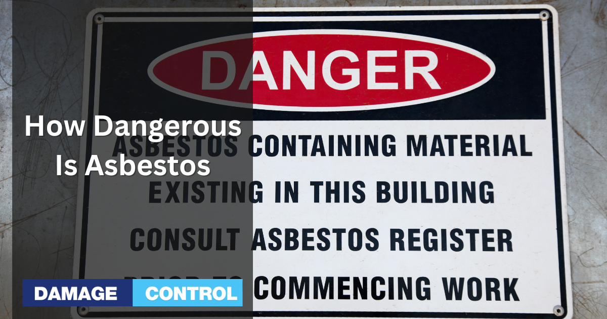 How Dangerous Is Asbestos