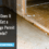 How Long Does It Take to Get a Water Damage Permit in Orlando?