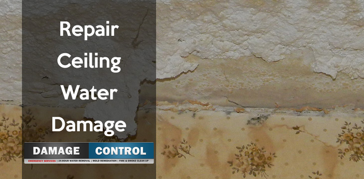 can you repair ceiling water damage