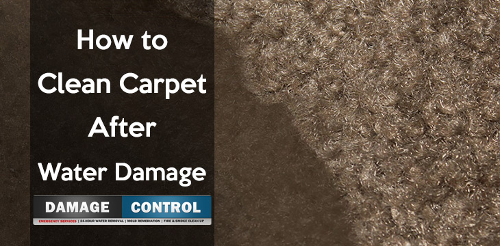 cleaning carpet after water damage