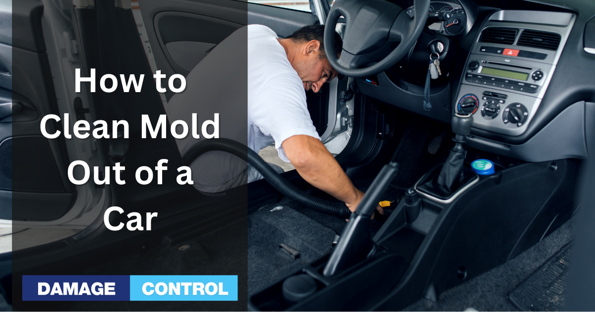 How to Clean Mold Out of a Car