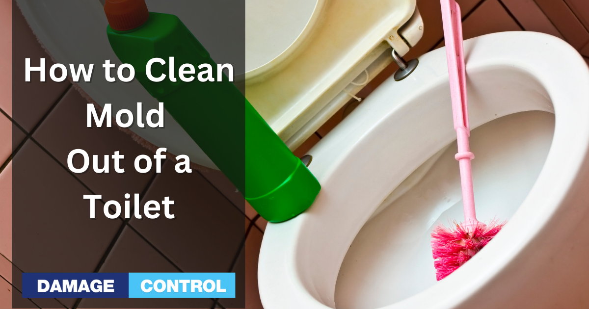 How to Clean Mold Out of a Toilet Safely and Effectively