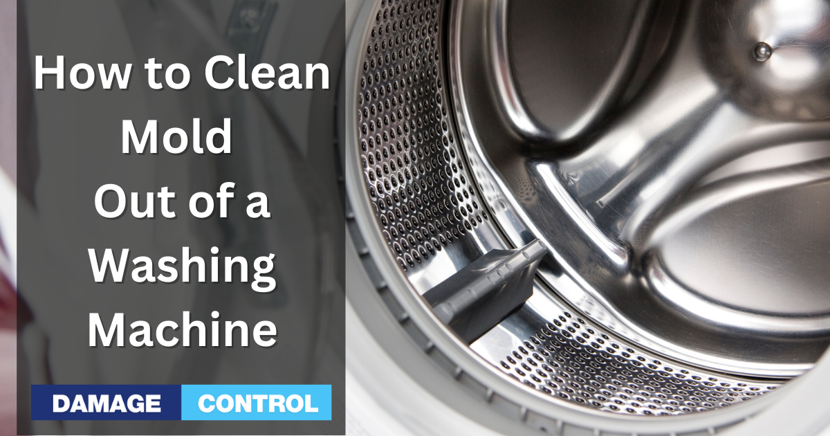 How to Clean Mold Out of a Washing Machine StepByStep
