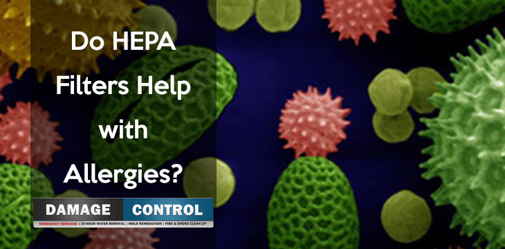 hepa filters remove allergens