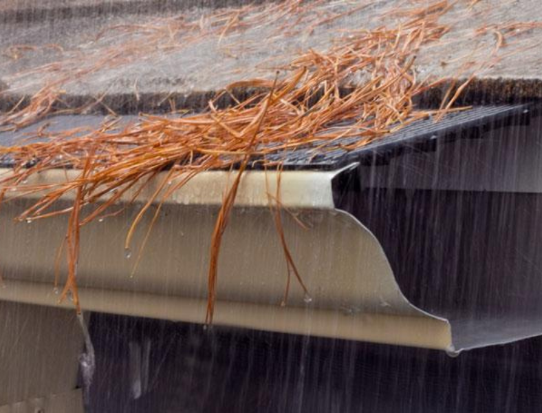 Gutter Guards for Pine Needles That Work Best
