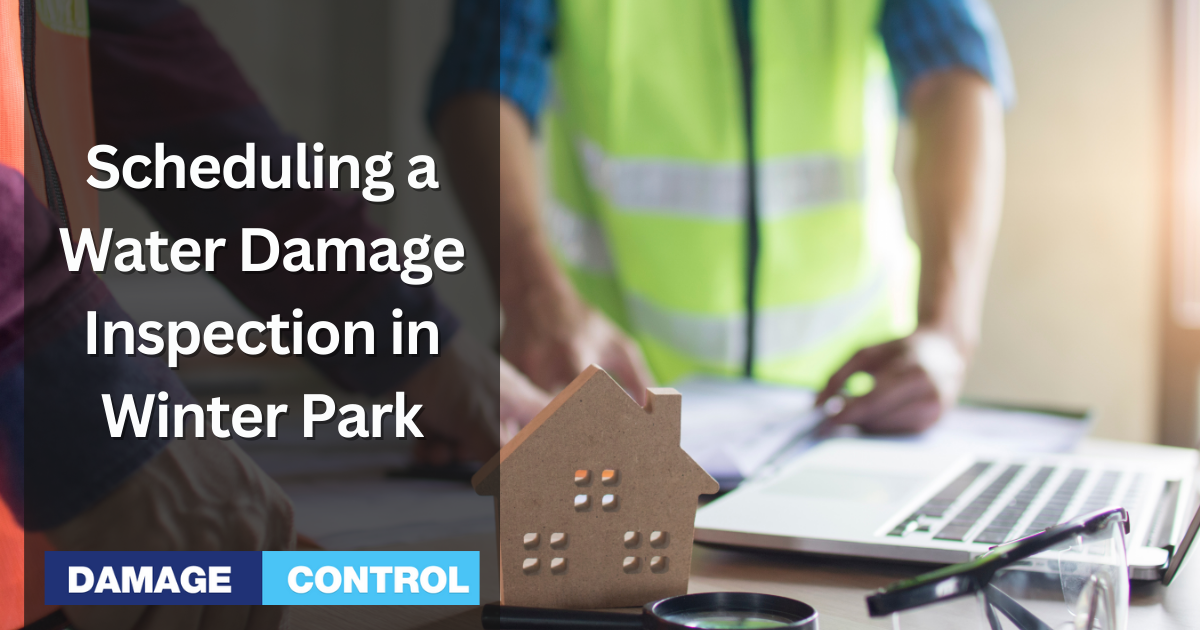 Scheduling a Water Damage Inspection in Winter Park