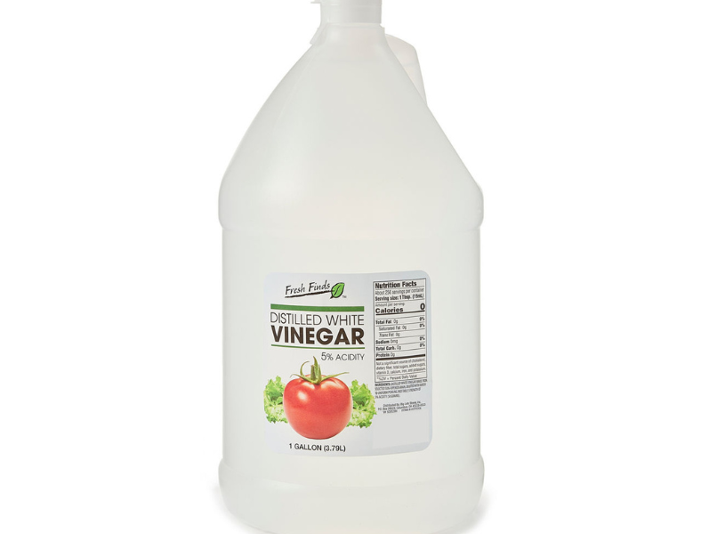 Keeping Your Humidifier MoldFree Advice for Homeowners