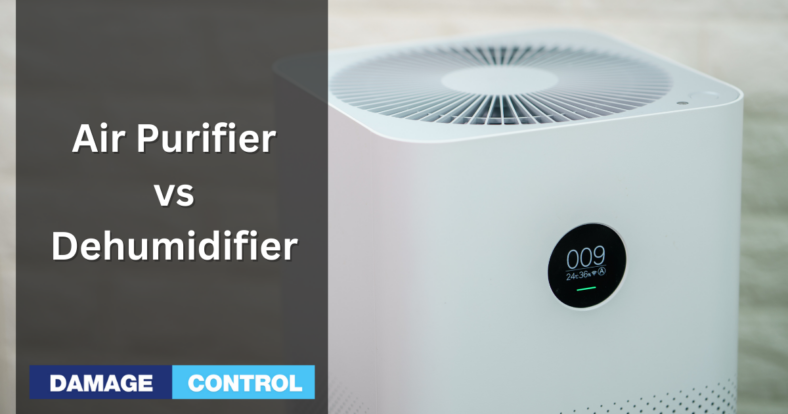 air purifier vs dehumidifier