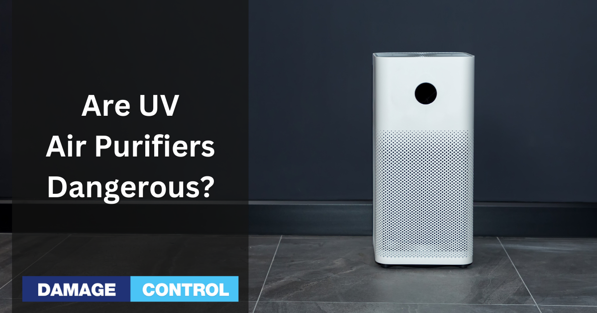 What Are the Dangers of a UV Air Purifier?