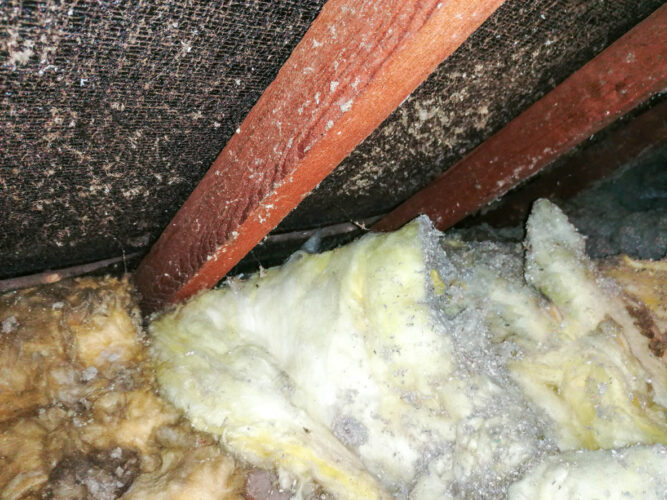 asbestos insulation