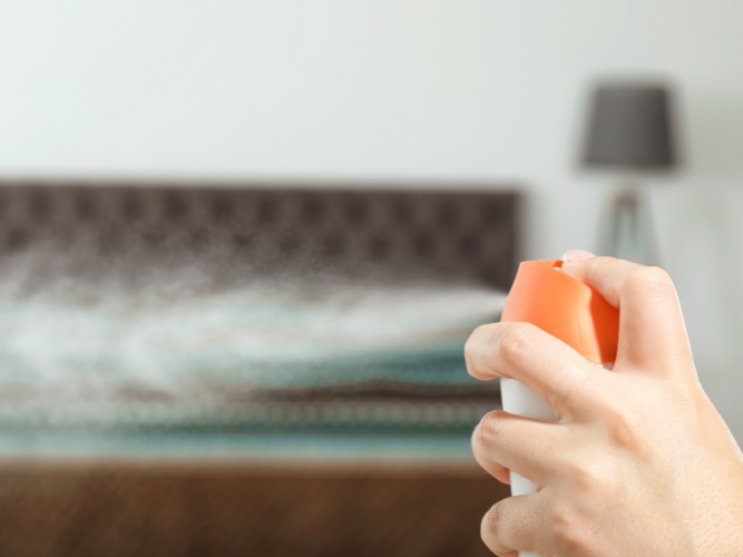 How to Get Rid of Odor in a Bedroom in 10 Simple Steps