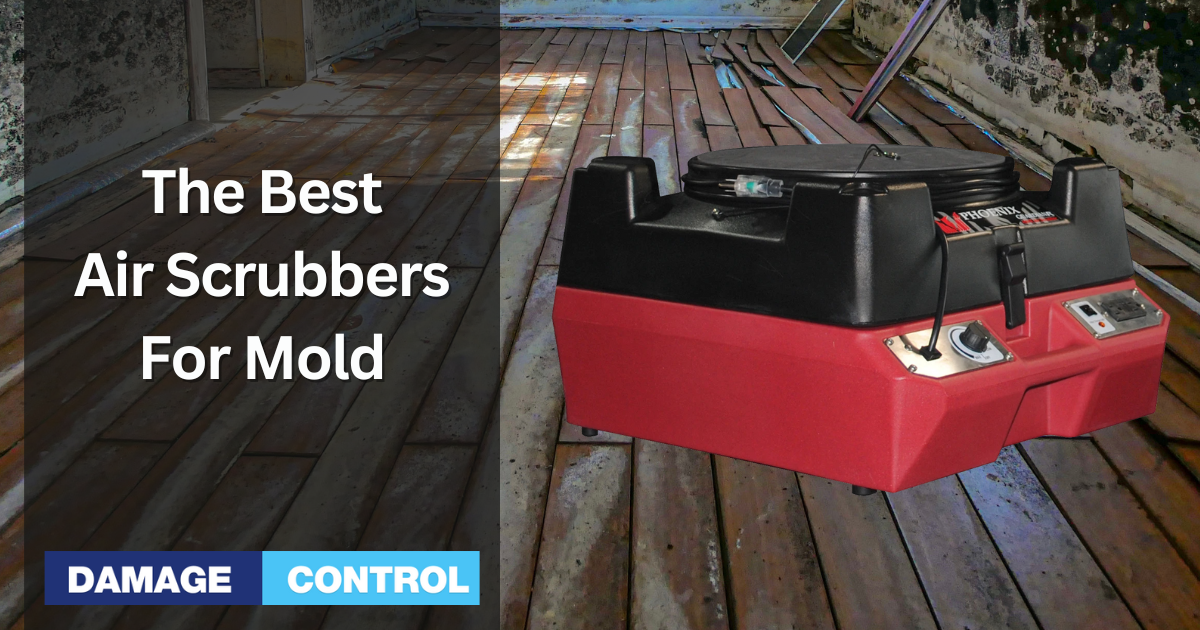 The Best Air Scrubbers For Mold
